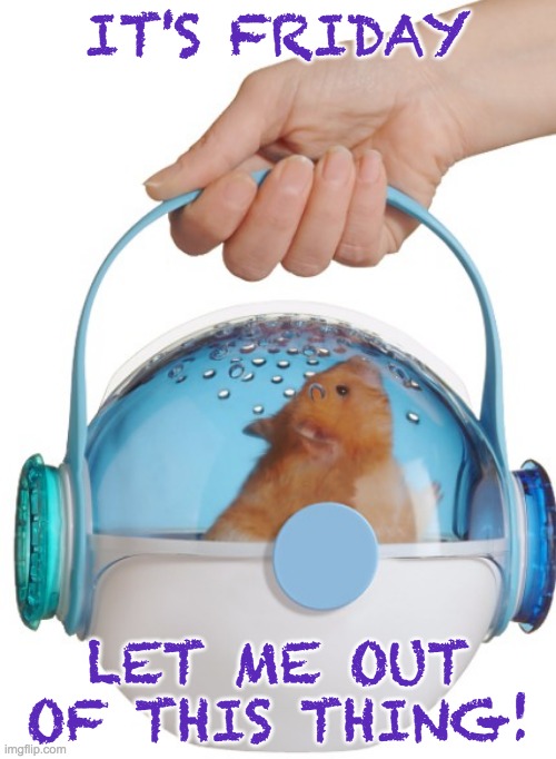 Enjoy your wild weekend! | IT'S FRIDAY; LET ME OUT OF THIS THING! | image tagged in hamster in carrier,hamster,freedom,weekend | made w/ Imgflip meme maker
