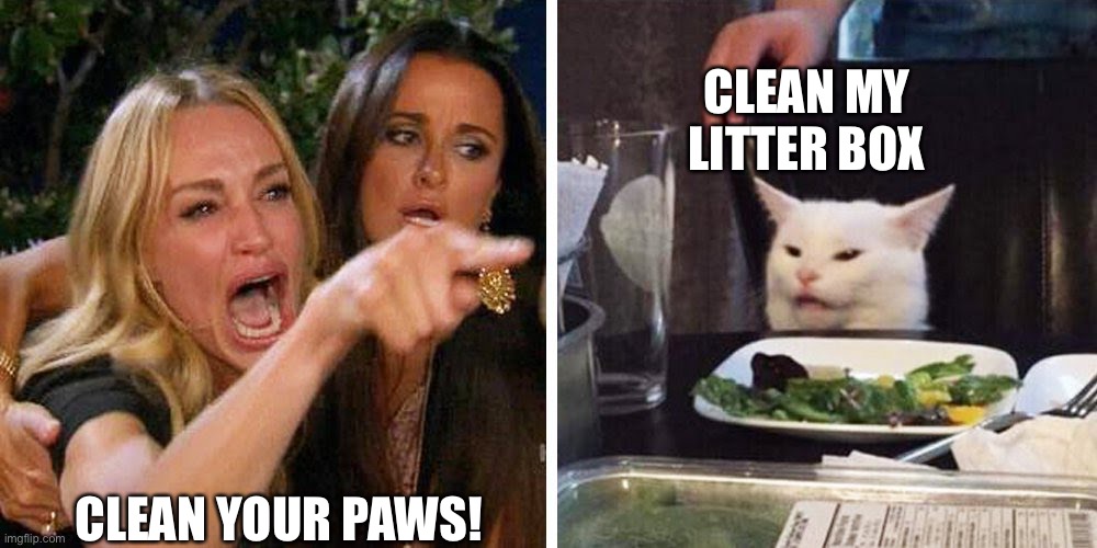 Smudge | CLEAN MY LITTER BOX; CLEAN YOUR PAWS! | image tagged in smudge the cat | made w/ Imgflip meme maker