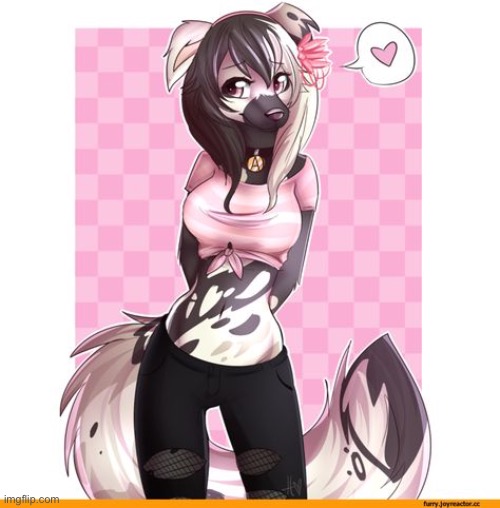 Not my art but cute | image tagged in furry | made w/ Imgflip meme maker