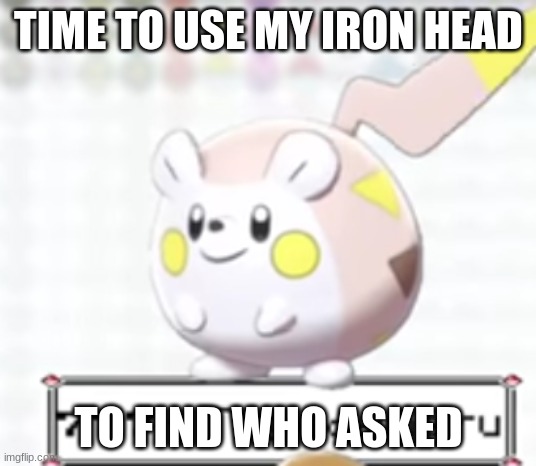 Shiny Togedemaru | TIME TO USE MY IRON HEAD TO FIND WHO ASKED | image tagged in shiny togedemaru | made w/ Imgflip meme maker