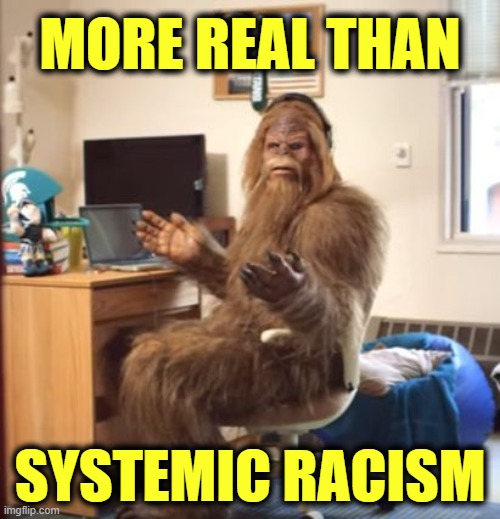 Bigfoot in your bedroom is... | MORE REAL THAN; SYSTEMIC RACISM | image tagged in blm,racism,sjw,libtards | made w/ Imgflip meme maker