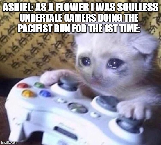 *His theme starts* | ASRIEL: AS A FLOWER I WAS SOULLESS; UNDERTALE GAMERS DOING THE PACIFIST RUN FOR THE 1ST TIME: | image tagged in sad gamer cat,undertale,asriel,crying,sad | made w/ Imgflip meme maker