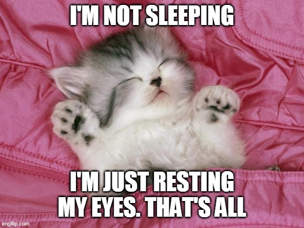 kitten sleeping | I'M NOT SLEEPING; I'M JUST RESTING MY EYES. THAT'S ALL | image tagged in kitten sleeping,memes,sleeping | made w/ Imgflip meme maker