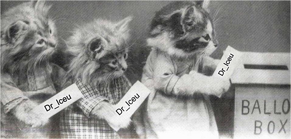 CATS CASTING VOTES | Dr_Iceu Dr_Iceu Dr_Iceu | image tagged in cats casting votes | made w/ Imgflip meme maker