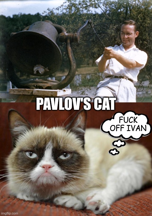 Then he tried the same experiment, but with dogs.... | PAVLOV'S CAT; FUCK OFF IVAN | image tagged in larry ringing the bell,grumpy cat laying | made w/ Imgflip meme maker