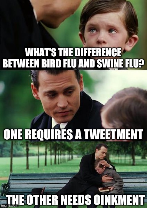 Finding Neverland Meme | WHAT'S THE DIFFERENCE BETWEEN BIRD FLU AND SWINE FLU? ONE REQUIRES A TWEETMENT; THE OTHER NEEDS OINKMENT | image tagged in memes,finding neverland | made w/ Imgflip meme maker