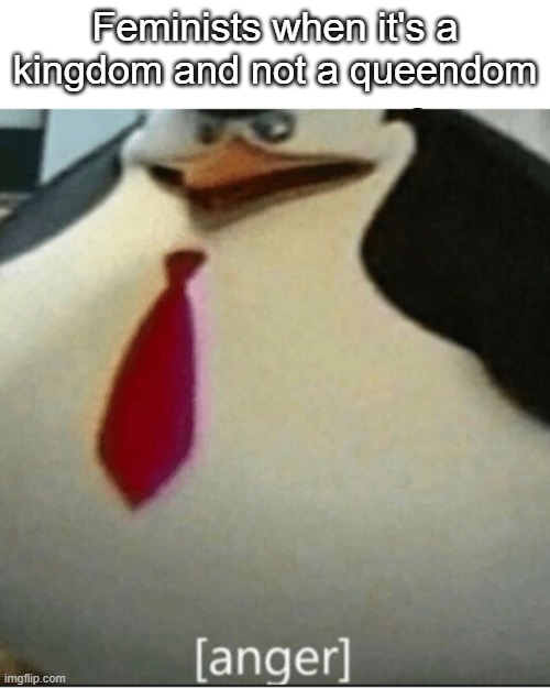 angery | Feminists when it's a kingdom and not a queendom | image tagged in text box,anger | made w/ Imgflip meme maker