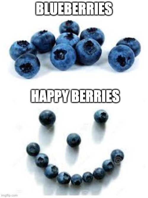 BLUEBERRIES; HAPPY BERRIES | image tagged in memes,puns,fruit | made w/ Imgflip meme maker