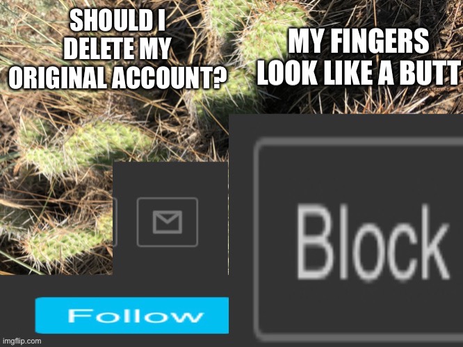 New Cactus Official Template | SHOULD I DELETE MY ORIGINAL ACCOUNT? | image tagged in new cactus official template | made w/ Imgflip meme maker