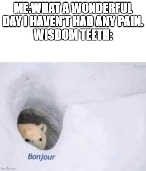 Bonjour | ME:WHAT A WONDERFUL DAY I HAVEN'T HAD ANY PAIN.
WISDOM TEETH: | image tagged in bonjour | made w/ Imgflip meme maker