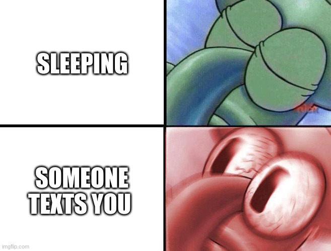 So true ngl | SLEEPING; SOMEONE TEXTS YOU | image tagged in sleeping squidward | made w/ Imgflip meme maker