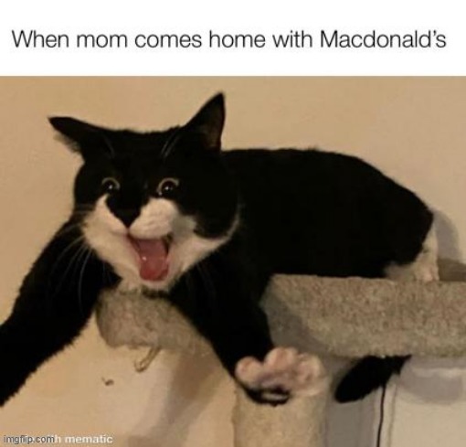 for me, its taco bell | made w/ Imgflip meme maker