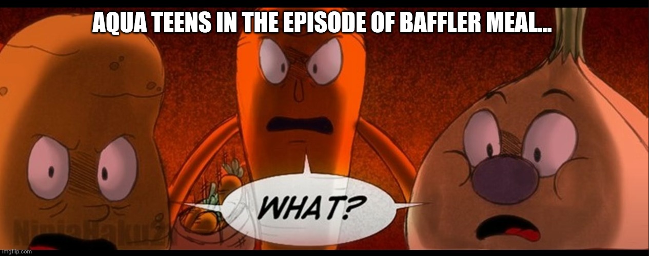 What?! | AQUA TEENS IN THE EPISODE OF BAFFLER MEAL... | image tagged in what | made w/ Imgflip meme maker
