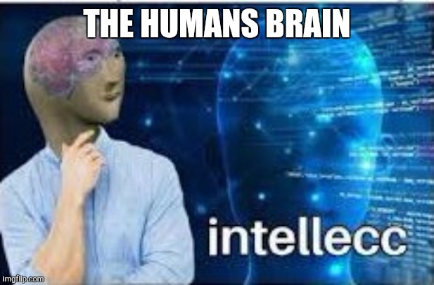 intellecc | THE HUMANS BRAIN | image tagged in intellecc | made w/ Imgflip meme maker