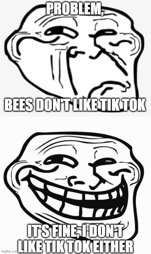 PROBLEM, BEES DON'T LIKE TIK TOK IT'S FINE, I DON'T LIKE TIK TOK EITHER | image tagged in sad troll,trollface | made w/ Imgflip meme maker