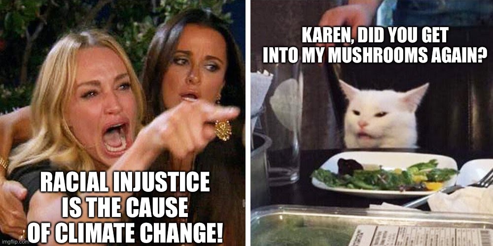 Climate change | KAREN, DID YOU GET INTO MY MUSHROOMS AGAIN? RACIAL INJUSTICE IS THE CAUSE OF CLIMATE CHANGE! | image tagged in smudge the cat,racial injustice climate change mushrooms | made w/ Imgflip meme maker