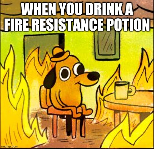 fire resistance potion | WHEN YOU DRINK A FIRE RESISTANCE POTION | image tagged in this is fine,minecraft,fire | made w/ Imgflip meme maker