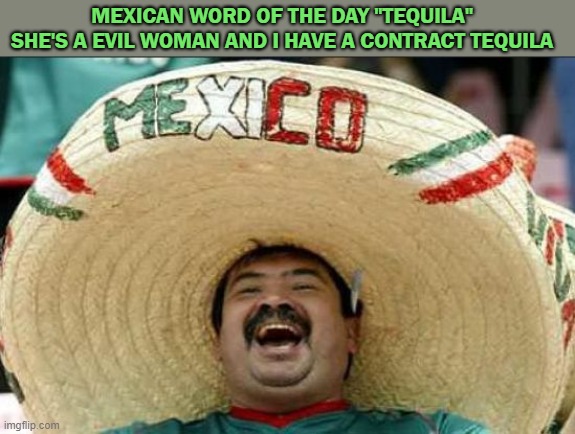 Mexican Word Of The Day | MEXICAN WORD OF THE DAY "TEQUILA" 
SHE'S A EVIL WOMAN AND I HAVE A CONTRACT TEQUILA | image tagged in mexican word of the day,tequila | made w/ Imgflip meme maker