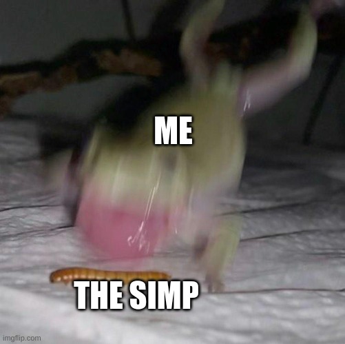 consumption frog | ME THE SIMP | image tagged in consumption frog | made w/ Imgflip meme maker
