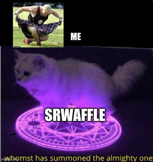 Who has summoned the almighty one | ME; SRWAFFLE | image tagged in who has summoned the almighty one | made w/ Imgflip meme maker