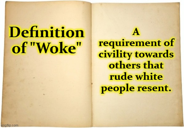 Let's define our terms. | A requirement of civility towards others that rude white people resent. Definition of "Woke" | image tagged in dictionary meme,woke,polite,rude,jerks | made w/ Imgflip meme maker