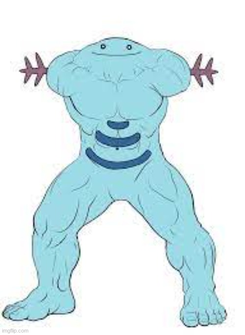 this one is for Wooper | image tagged in jshdf,msmg,memes | made w/ Imgflip meme maker