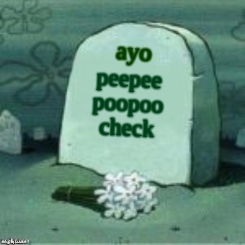 Here Lies X | ayo; peepee poopoo check | image tagged in here lies x | made w/ Imgflip meme maker
