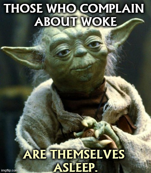 Accusing someone of being courteous and considerate to others is not an insult. | THOSE WHO COMPLAIN 
ABOUT WOKE; ARE THEMSELVES 
ASLEEP. | image tagged in memes,star wars yoda,woke,compliment,good | made w/ Imgflip meme maker