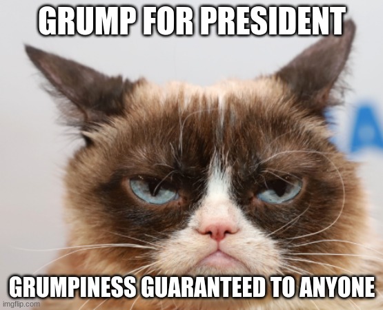 GRUMP FOR PRESIDENT; GRUMPINESS GUARANTEED TO ANYONE | image tagged in grumpy cat,president | made w/ Imgflip meme maker