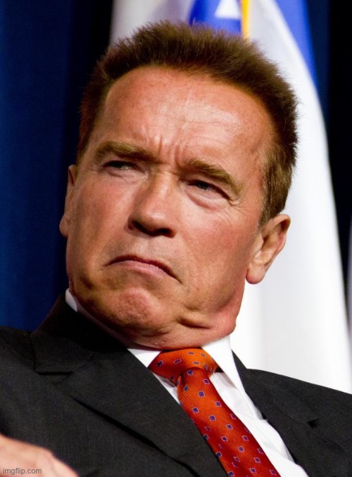 Arnold Schwarzenegger | image tagged in arnold schwarzenegger | made w/ Imgflip meme maker