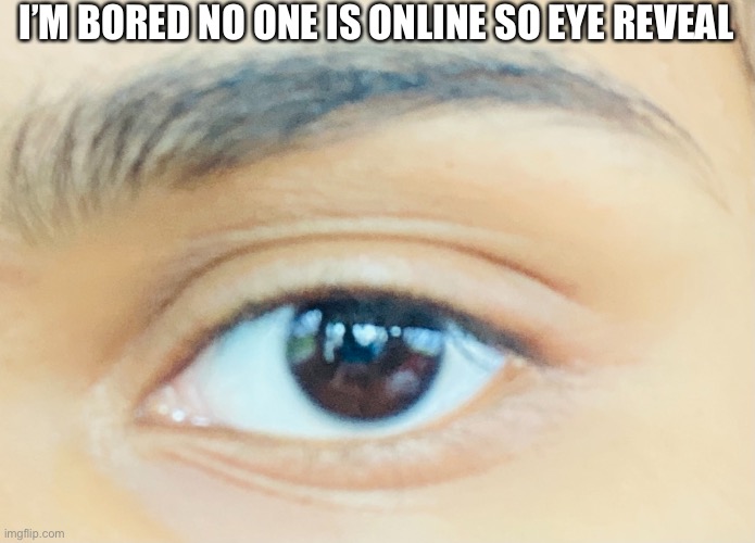 I’M BORED NO ONE IS ONLINE SO EYE REVEAL | made w/ Imgflip meme maker