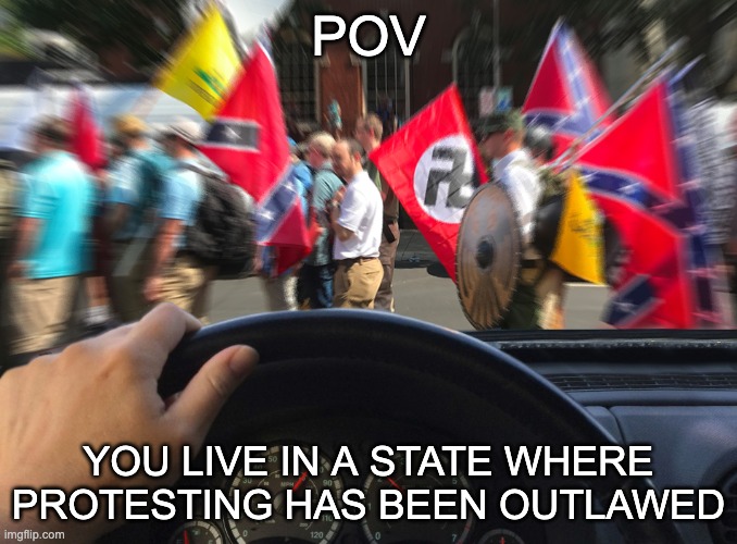 POV; YOU LIVE IN A STATE WHERE PROTESTING HAS BEEN OUTLAWED | image tagged in first amendment,nazis,alt right,black lives matter,george floyd | made w/ Imgflip meme maker