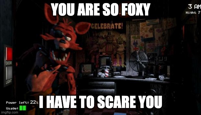 Foxy Five Nights at Freddy's | YOU ARE SO FOXY I HAVE TO SCARE YOU | image tagged in foxy five nights at freddy's | made w/ Imgflip meme maker