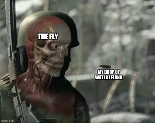 Sniper Elite Headshot | THE FLY; MY DROP OF WATER I FLUNG | image tagged in sniper elite headshot | made w/ Imgflip meme maker