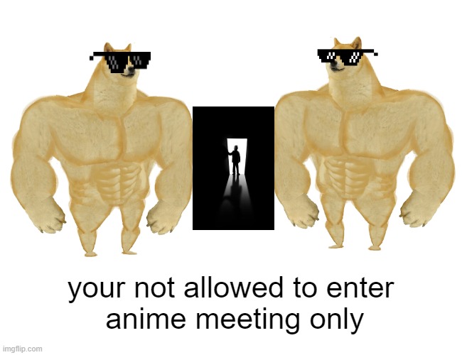 anime only | your not allowed to enter
 anime meeting only | image tagged in memes,buff doge vs cheems | made w/ Imgflip meme maker