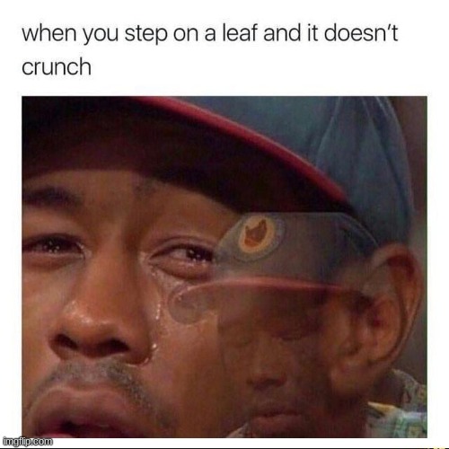 why do we come here, just to suffer/? | made w/ Imgflip meme maker