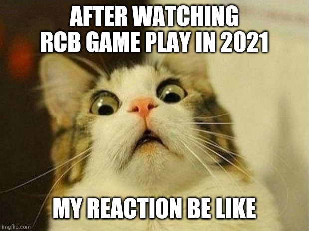 RCB | AFTER WATCHING RCB GAME PLAY IN 2021; MY REACTION BE LIKE | image tagged in memes,scared cat | made w/ Imgflip meme maker