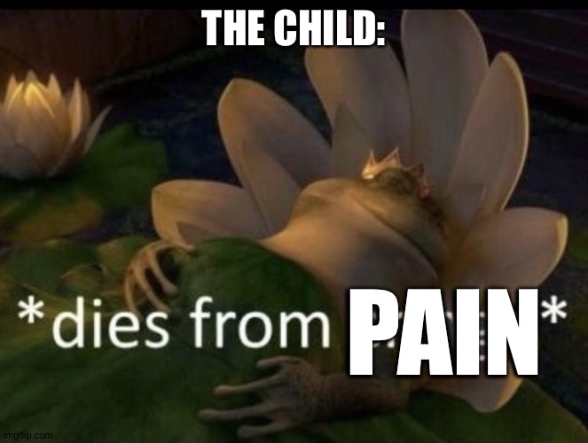 Dies from cringe | THE CHILD: PAIN | image tagged in dies from cringe | made w/ Imgflip meme maker