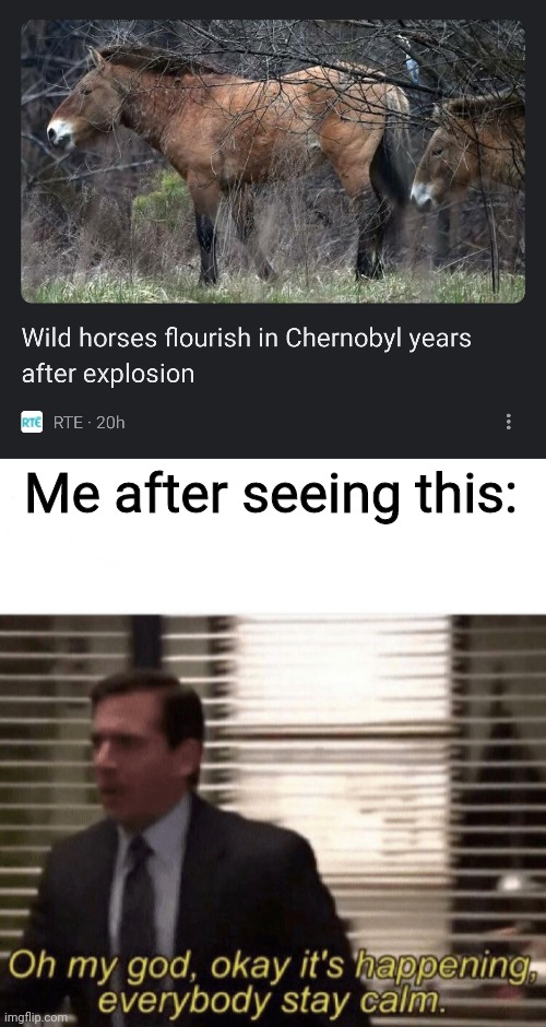 I can't believe it! It's actually real! | Me after seeing this: | image tagged in oh my god okay it's happening everybody stay calm,chernobyl,horses,news,unbelievable,ukraine | made w/ Imgflip meme maker