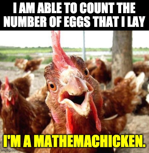 Math | I AM ABLE TO COUNT THE NUMBER OF EGGS THAT I LAY; I'M A MATHEMACHICKEN. | image tagged in chicken | made w/ Imgflip meme maker