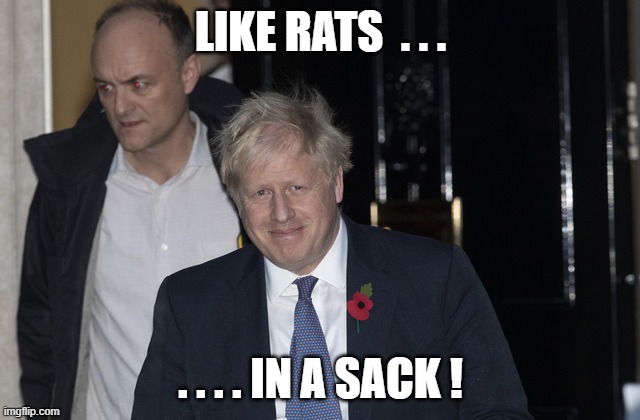 politics | LIKE RATS  . . . . . . . IN A SACK ! | image tagged in politics | made w/ Imgflip meme maker