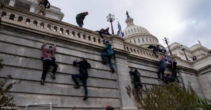 capitol riot | image tagged in capitol riot | made w/ Imgflip meme maker