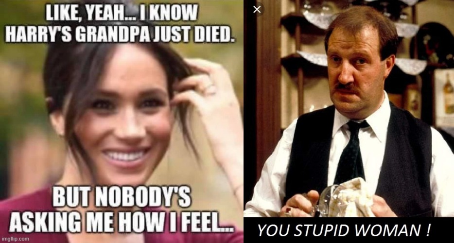 You stupid woman ! | image tagged in meghan markle | made w/ Imgflip meme maker