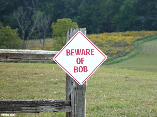 Thank you for your service, anti bobificator | image tagged in beware of bob | made w/ Imgflip meme maker