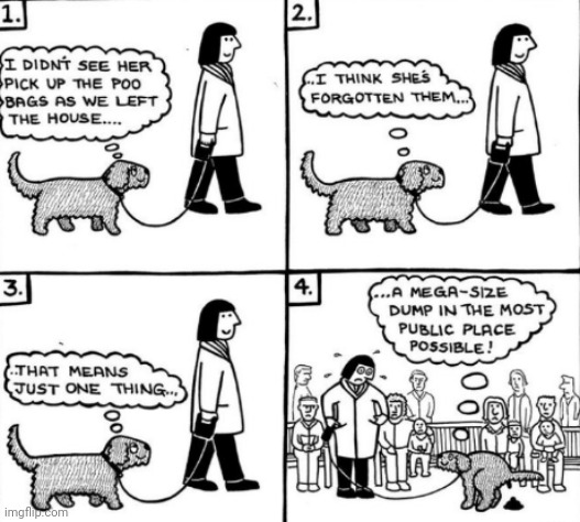 Bad boy | image tagged in comics/cartoons,dogs,funny | made w/ Imgflip meme maker