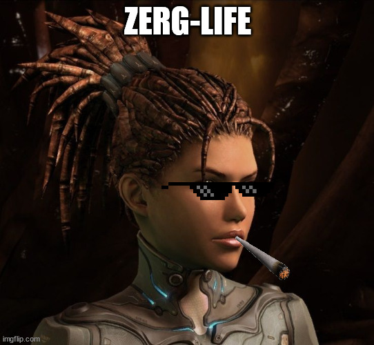 Zerg-life | ZERG-LIFE | image tagged in thug life,zerg | made w/ Imgflip meme maker