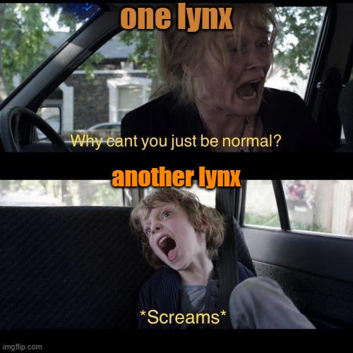 2 lynx in Canada | one lynx; another lynx | image tagged in why can't you just be normal,shouting,ontario,funny cats,video | made w/ Imgflip meme maker