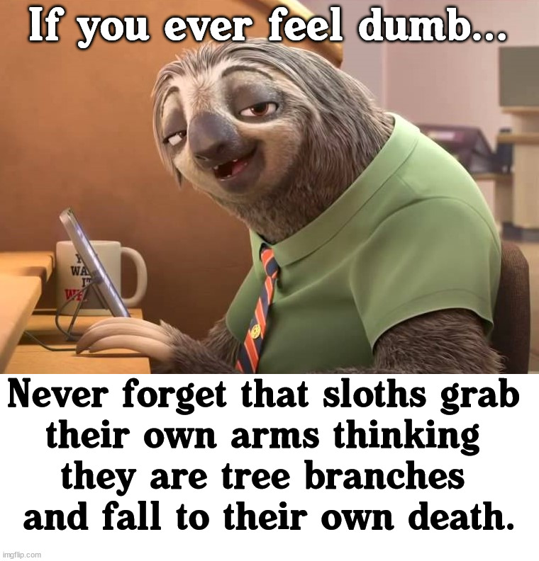 There are always others worse off | If you ever feel dumb... Never forget that sloths grab 
their own arms thinking 
they are tree branches 
and fall to their own death. | image tagged in zootopia sloth,dumb | made w/ Imgflip meme maker