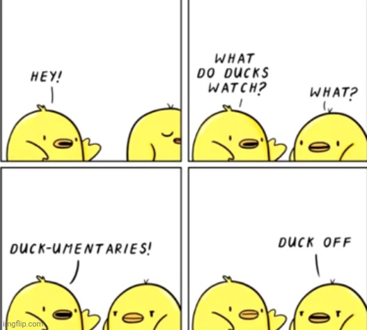Lol | image tagged in comics/cartoons,duck,funny | made w/ Imgflip meme maker