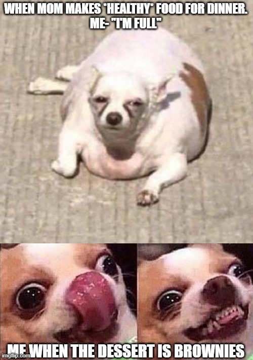 chihuahua | WHEN MOM MAKES *HEALTHY* FOOD FOR DINNER.
ME- ''I'M FULL''; ME WHEN THE DESSERT IS BROWNIES | image tagged in hungry pizza dog | made w/ Imgflip meme maker